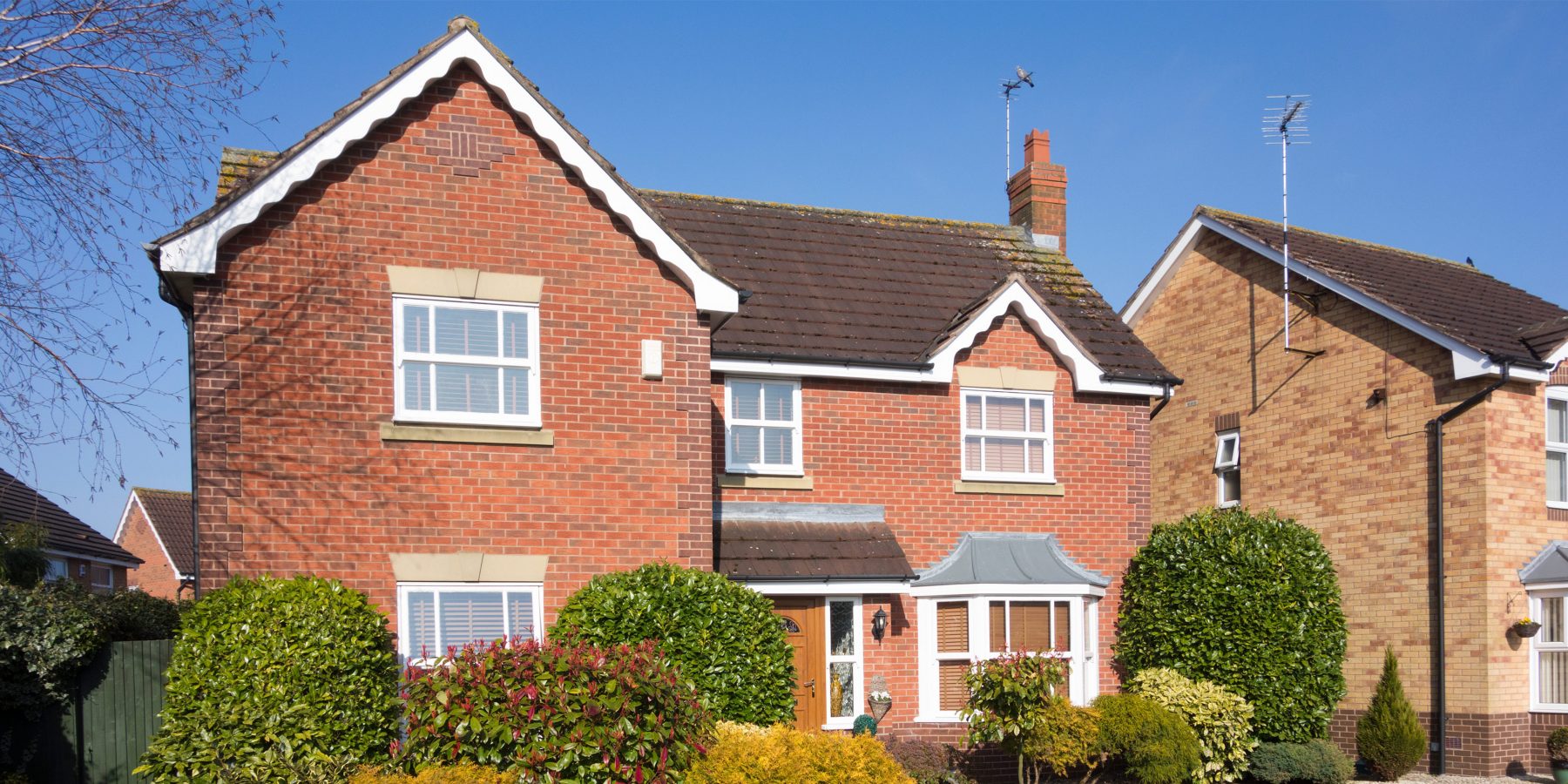 About Snag Surgeon About Snag Surgeon